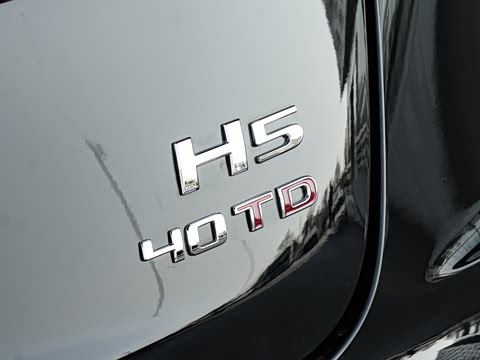 2026�� 2.0T �Զ��쳩Pro��