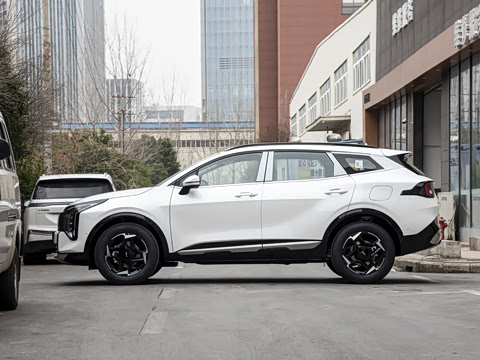 2026�� ����������