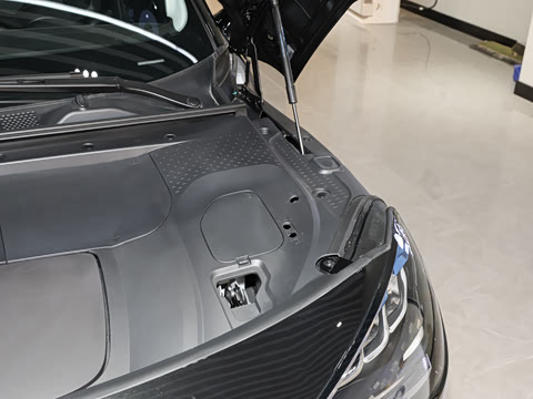 2026�� �鶯��������