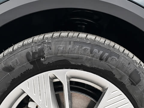 2025�� 565km ������