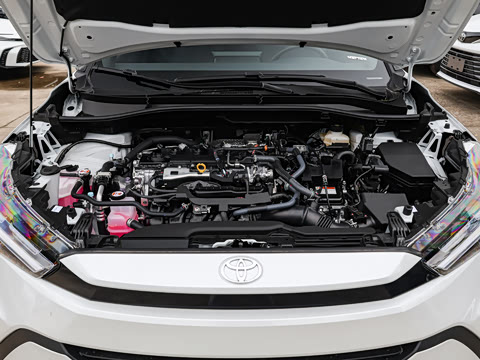 2026�� 2.0L ���ܵ��˫�� ���Ȱ�