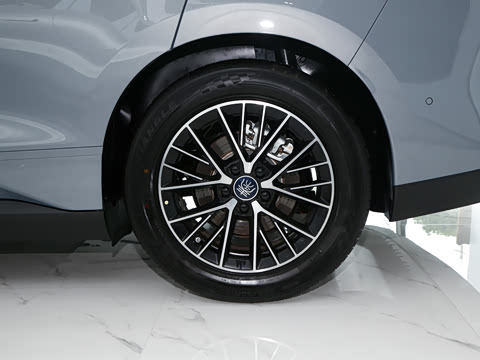 2026�� DM-i 230KM��Խ��
