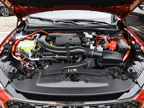 2026�� 2.0T EcoBoost  E �춯  �˶��� ST-Line