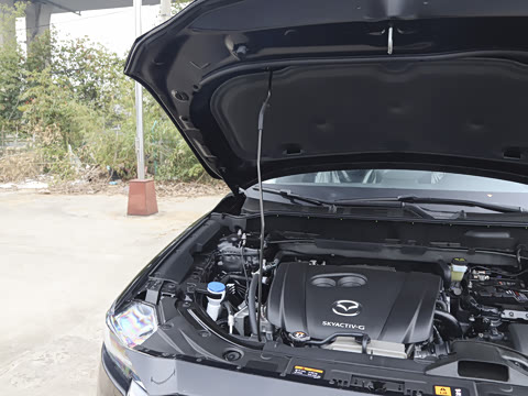 2025�� 2.0L �Զ�����������