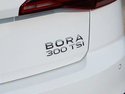 2026�� 300TSI DSG���а�