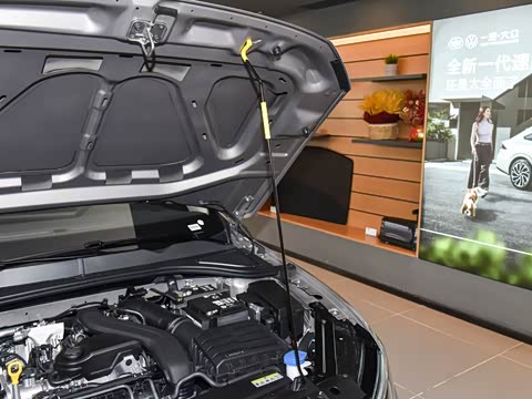 2026�� 300TSI DSG���а�