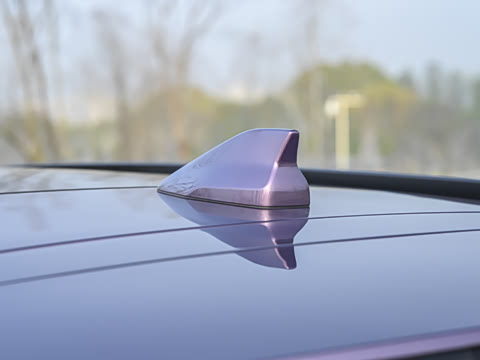 2026�� ���� �����