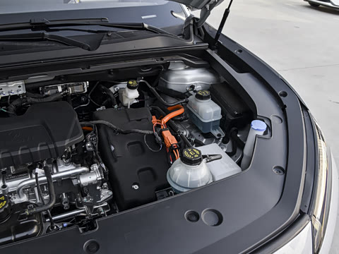 2026�� ������ ������