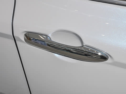 2026�� 2.0GVP ������