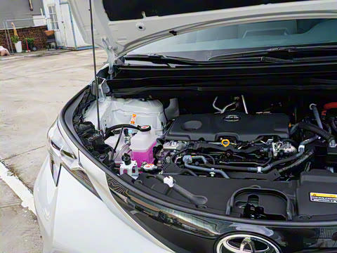 2026�� 2.5L ˫������������