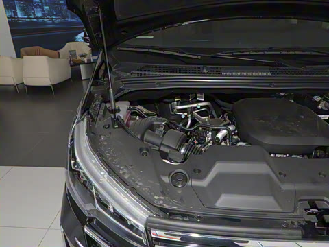 2025�� �Ŀ� MAX 2.0T �Զ������� ���� 7��