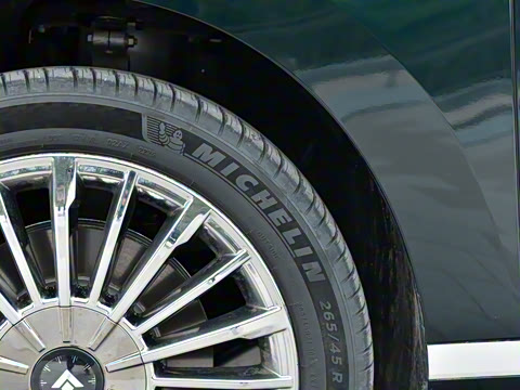 2025�� �Ŀ� 350 Max���������״��