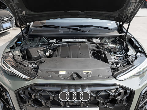 2026�� �ǻ�������