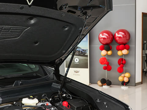 2026�� 28T ������