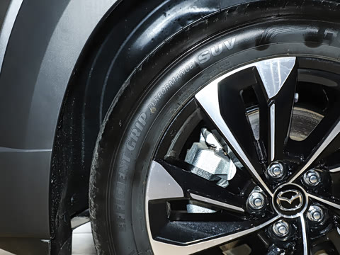 2026�� 2.5L ���а�