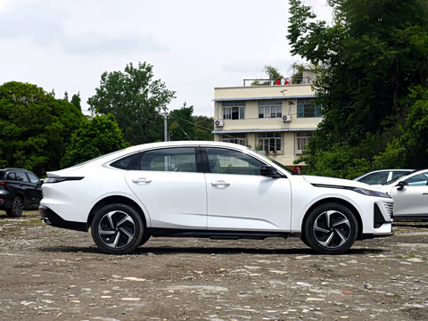 2026�� 1.5L �������� ������