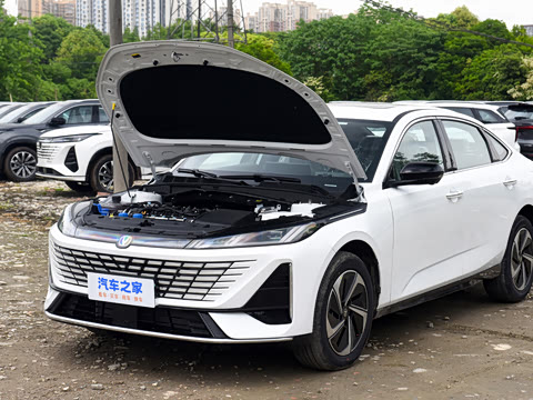2026�� 1.5L �������� ������
