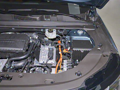 2026�� 121km ������ 5��