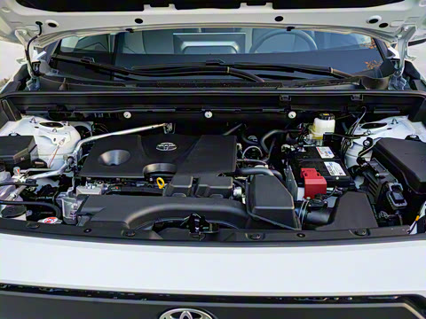 2026�� 2.0L ����������