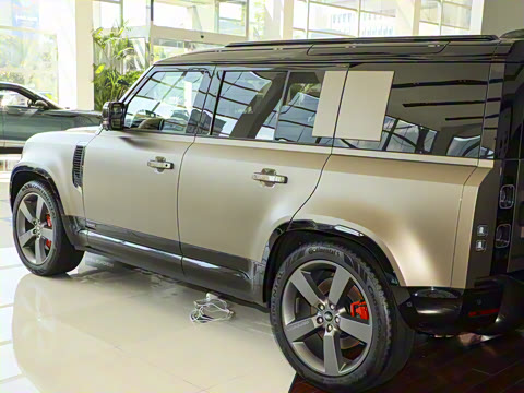 2025�� 110 3.0T P400 X