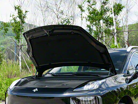 2025�� �Ŀ� 350 Max���������״��