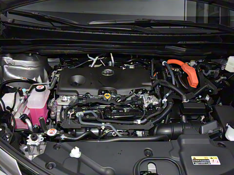 2026�� 2.5L�춯 ���PLUS������