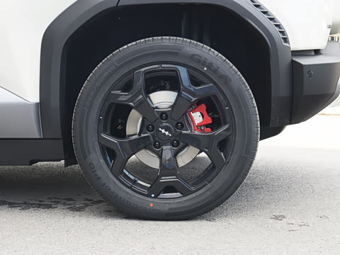 2026�� 565KM ���������