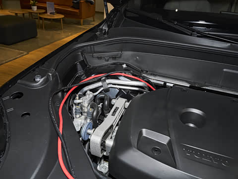 2026�� T8 ��������� 7��