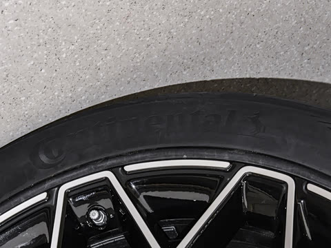 2026��   95������ Max��