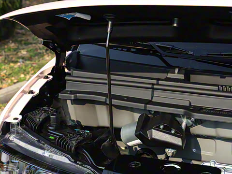 2026�� ��Ȥ��