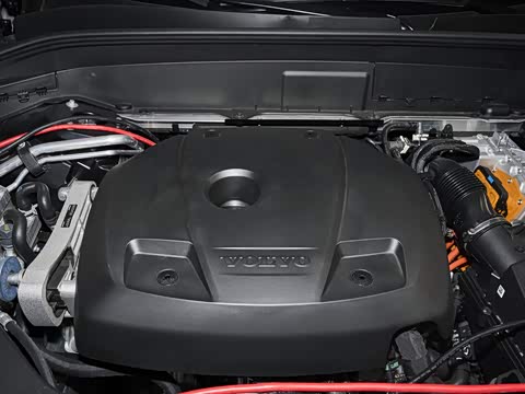 2026�� T8 ��������� 7��