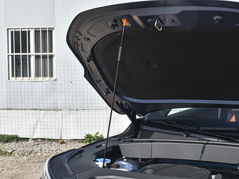 2026�� �����