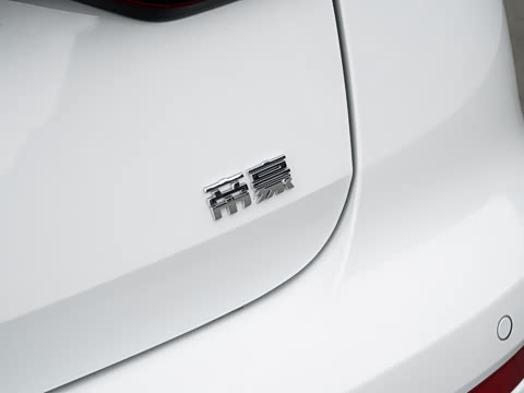 2027�� ���� 1.5L �ֶ�������