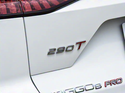 2025�� 290T ��������+