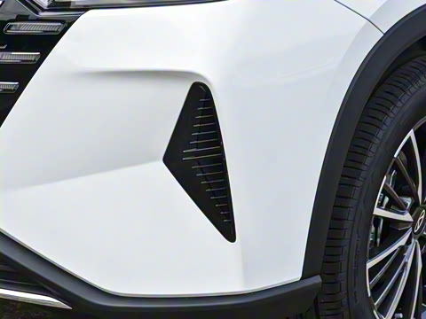 2025�� 290T ��������+