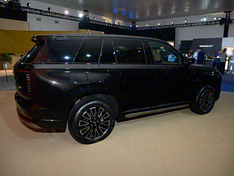 2025�� 205km Pro+�����״��