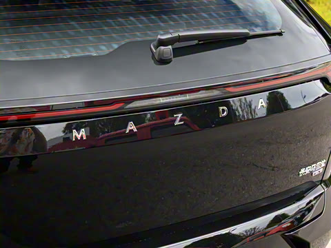 2025�� ����600 Max