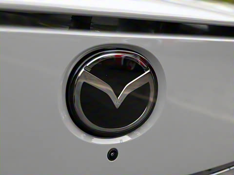 2025�� ����600 Max