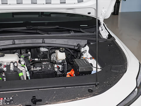 2026�� 450km ������