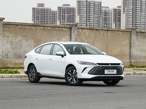 2026�� DM-i 210KM��ȡ��