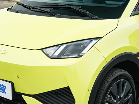 2026�� 305km ���ɰ�