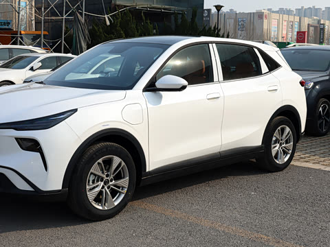 2026�� 565km ������