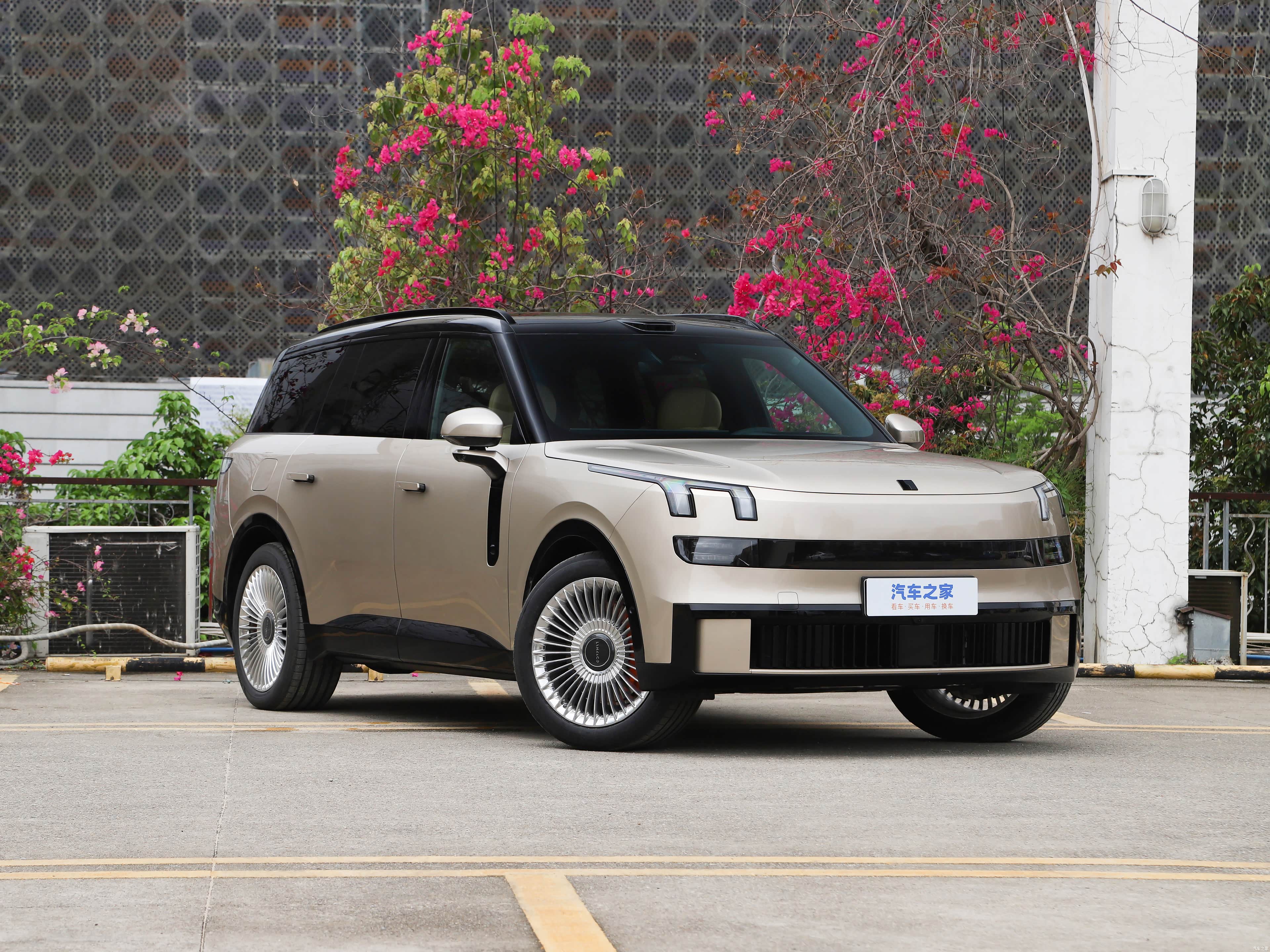 Lynk & Co 900, миниатюра 3