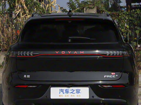 2025�� FREE+ ����Ǭ����