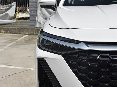 2026�� 1.6T ������