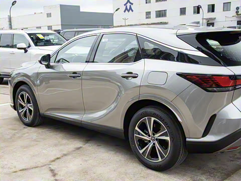 2026�� 300 ����������