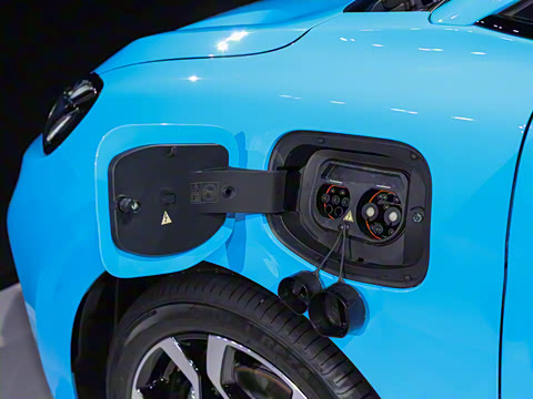 2026�� 437 ���ɰ�