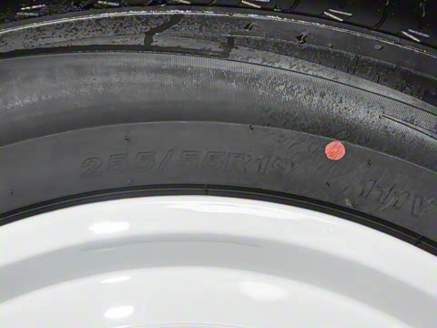 2026�� 550���������˶���