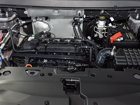 2025�� 1.5L �ֶ���Խ��