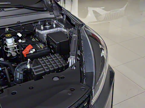 2025�� 1.5L �ֶ���Խ��